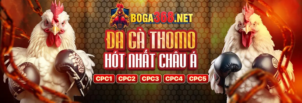 Hình ảnh Đá Gà kịch tính tại Visabet Nổ Hũ